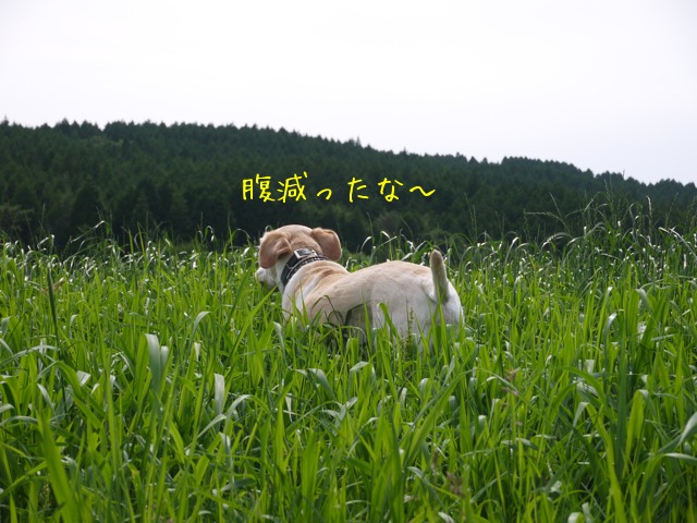 f0177261_20574889.jpg