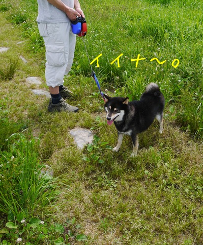 f0177261_21512252.jpg