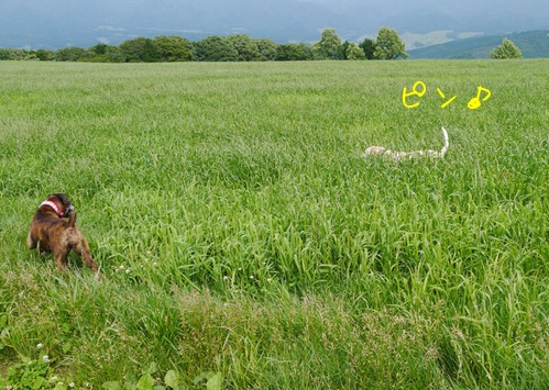 f0177261_21515324.jpg