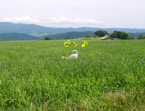 f0177261_21521918.jpg
