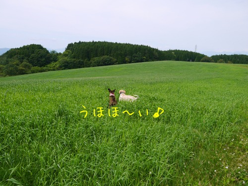 f0177261_21553327.jpg