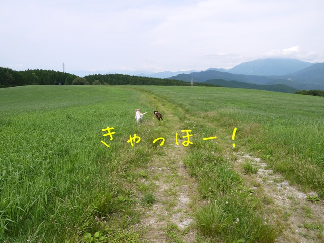 f0177261_21555940.jpg
