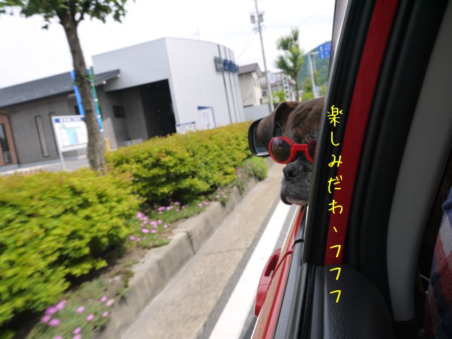 f0177261_2222566.jpg