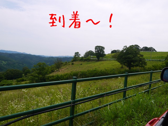 f0177261_2224368.jpg