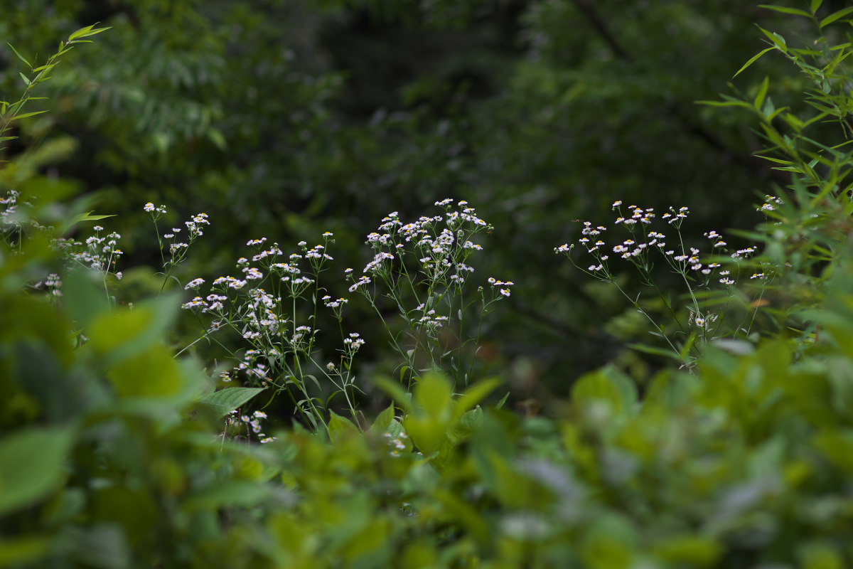 a0083081_18574468.jpg