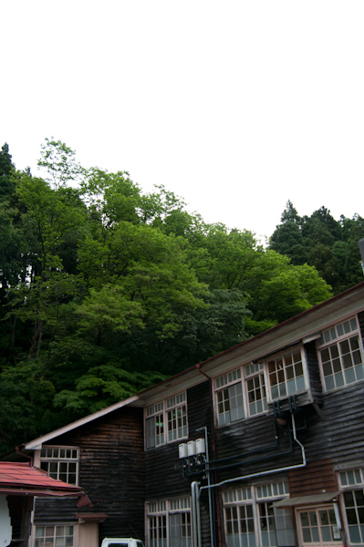 a0053783_1442637.jpg