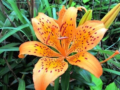 c0204385_22455933.jpg