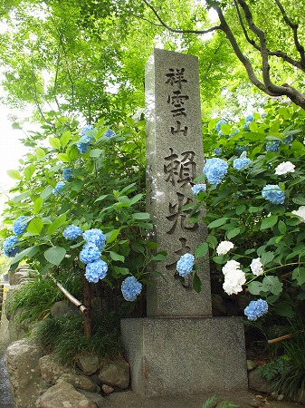 a0152391_185696.jpg