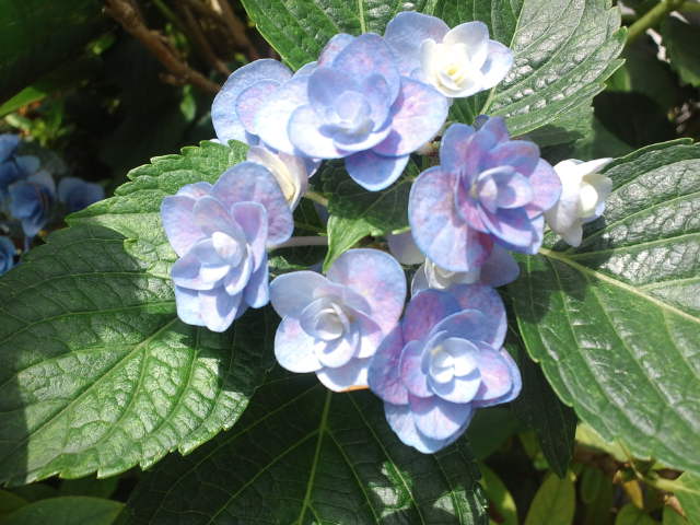 f0077595_13501670.jpg