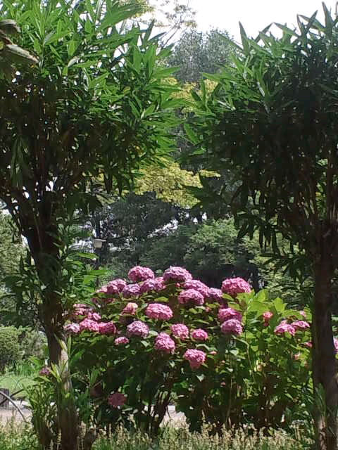 f0077595_13501693.jpg