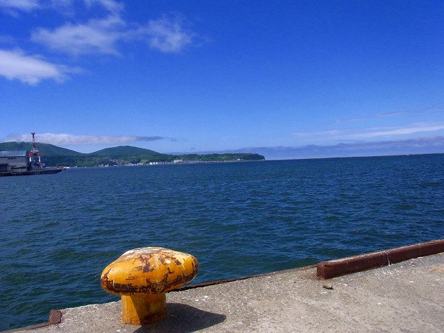 f0157901_20383354.jpg