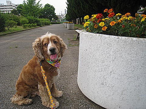 d0046702_9521721.jpg