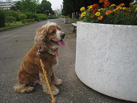 d0046702_952639.jpg
