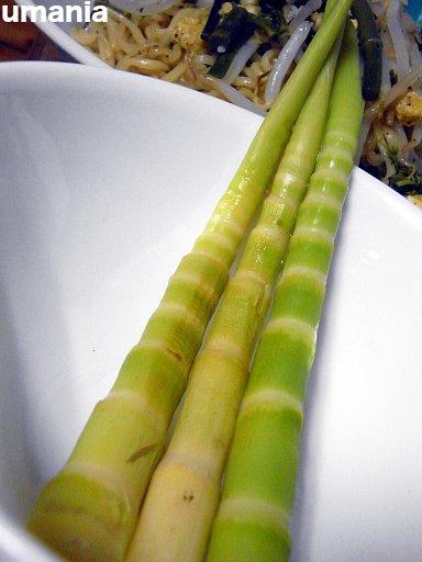 b0061004_22381160.jpg