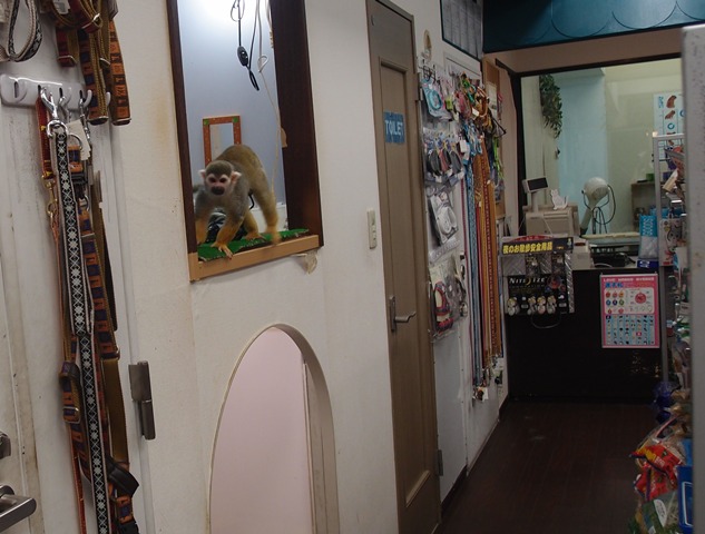 e0018604_1014279.jpg
