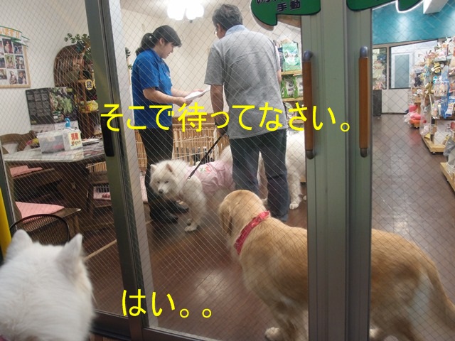 e0018604_8201553.jpg