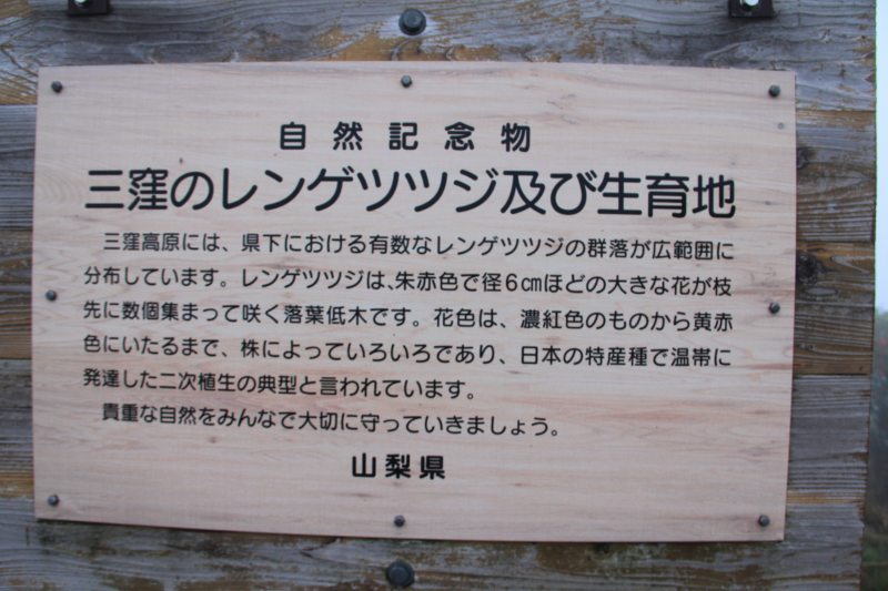 a0188405_1904085.jpg