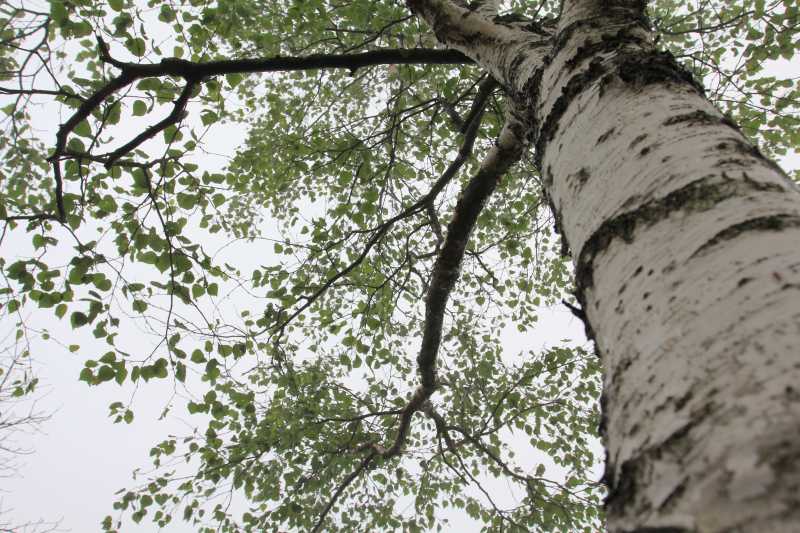 a0188405_199282.jpg