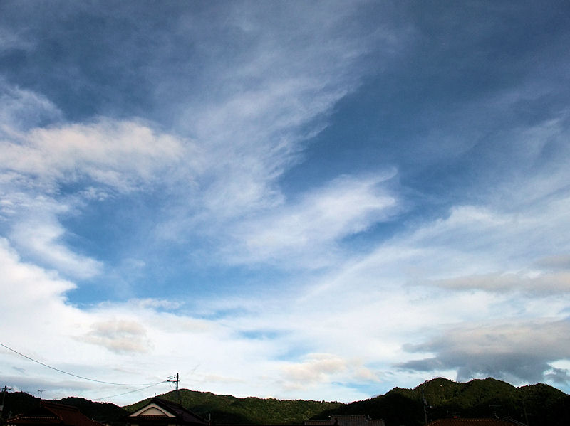 b0057612_1650886.jpg