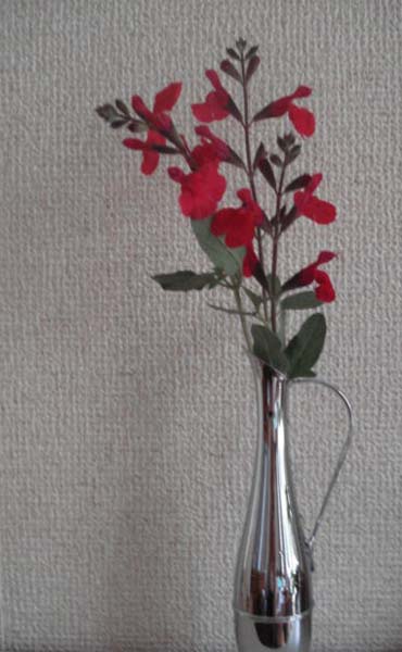 e0110719_1034550.jpg