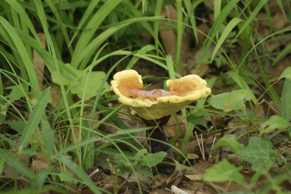 c0020320_9572510.jpg