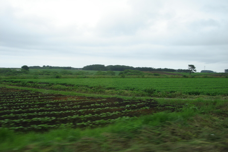d0250123_20552066.jpg