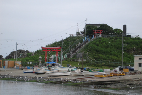 d0250123_2155349.jpg