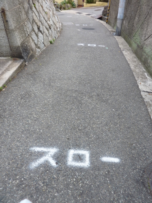 d0153627_1012996.jpg