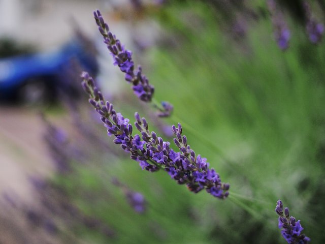 b0134829_19163444.jpg
