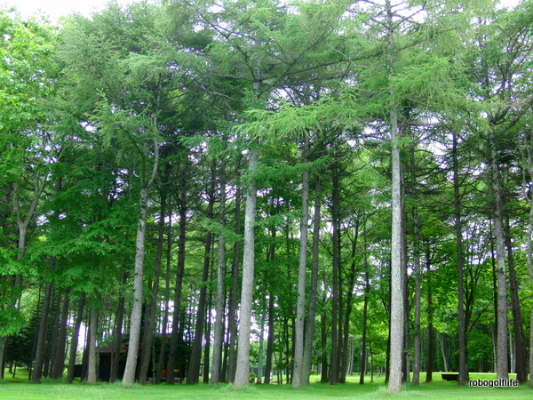 c0199829_033228.jpg