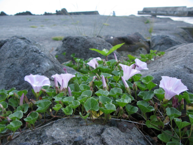 f0017530_21402415.jpg