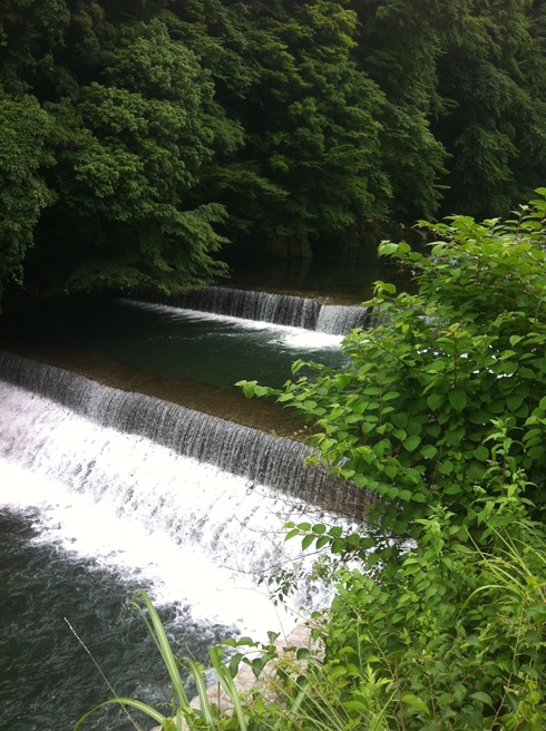 d0062132_322267.jpg