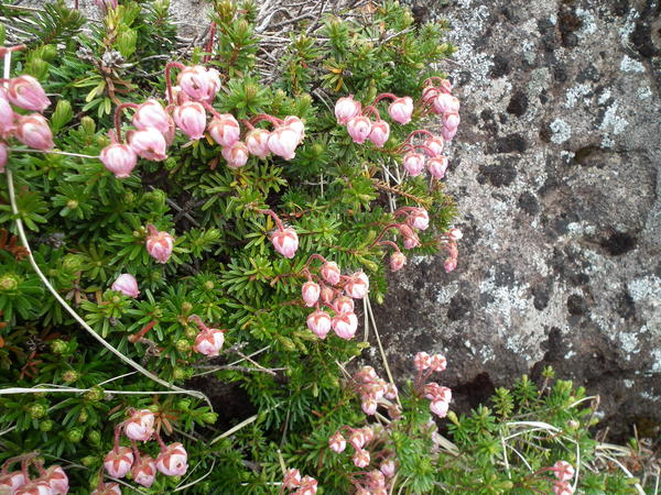 f0118332_1610767.jpg