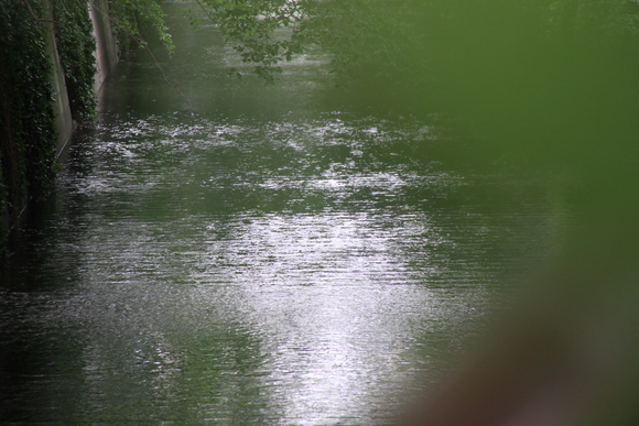 f0217933_16374861.jpg