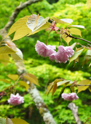 b0035734_17322479.jpg