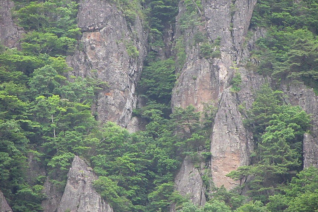 e0052135_237782.jpg