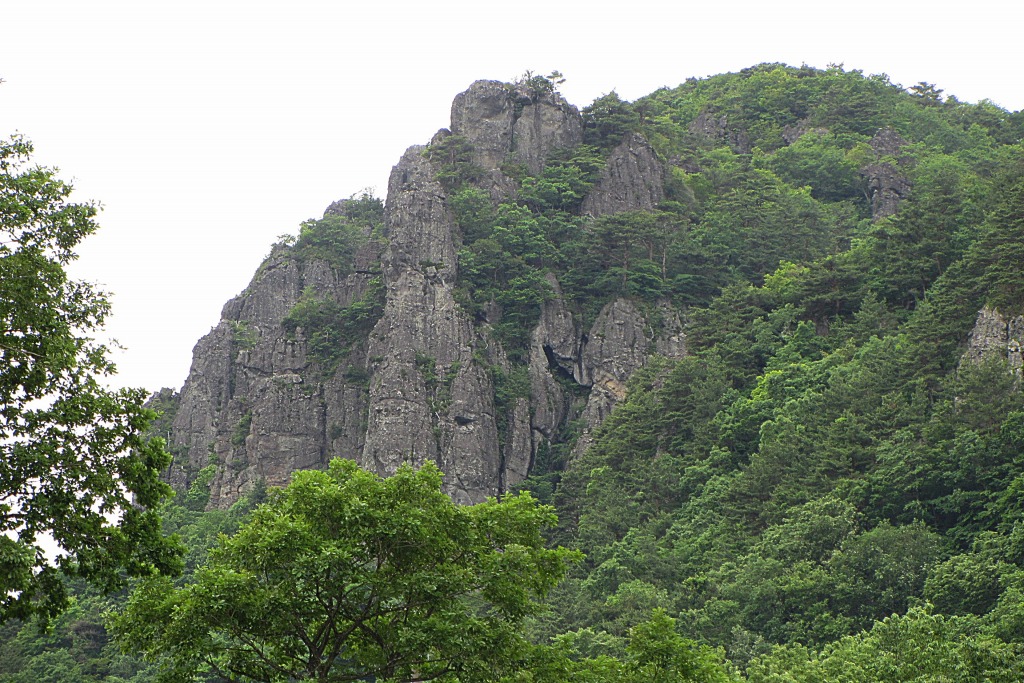 e0052135_238355.jpg