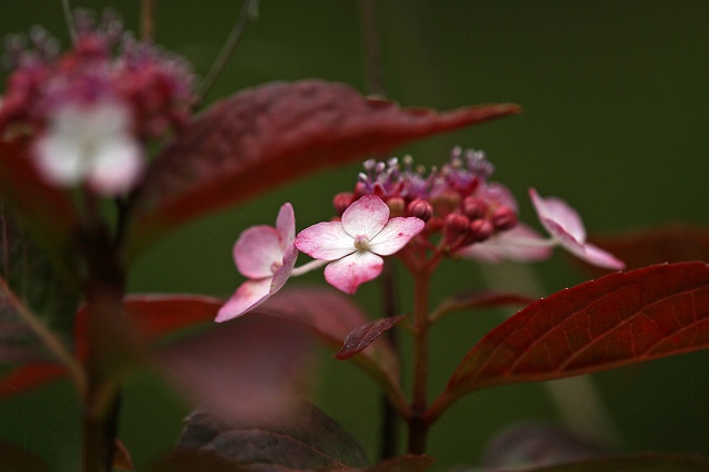 a0242438_20135013.jpg