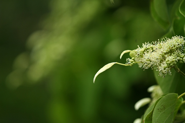 a0242438_20152960.jpg