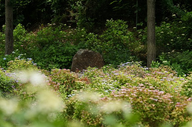 a0242438_20163640.jpg
