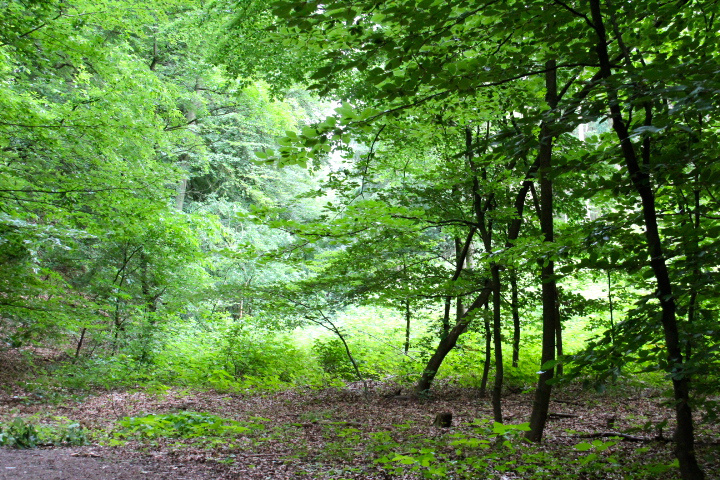 c0153740_2324151.jpg