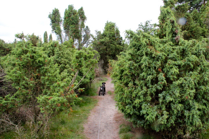 c0153740_2341261.jpg