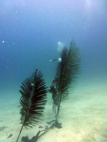 f0014842_2094721.jpg