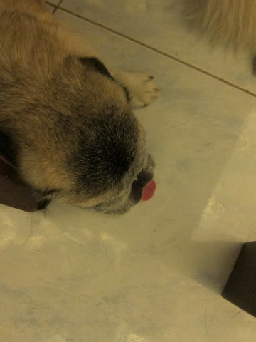 e0018143_2081850.jpg