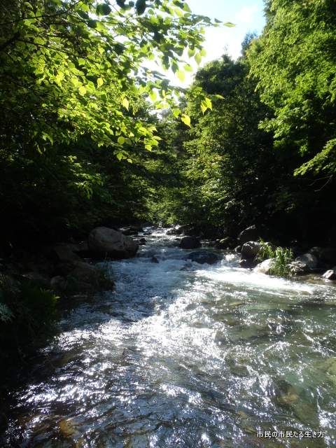 d0182245_227385.jpg
