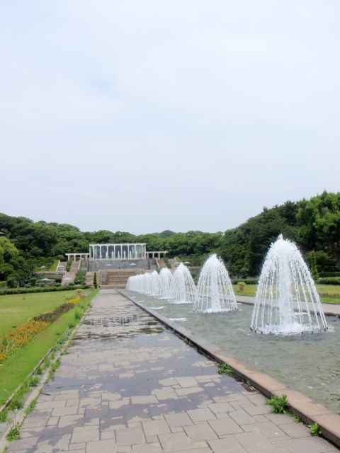 a0095546_0573687.jpg
