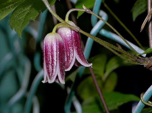 d0091754_1612628.jpg