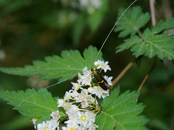 d0091754_1664994.jpg