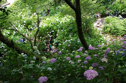 d0182758_22163535.jpg