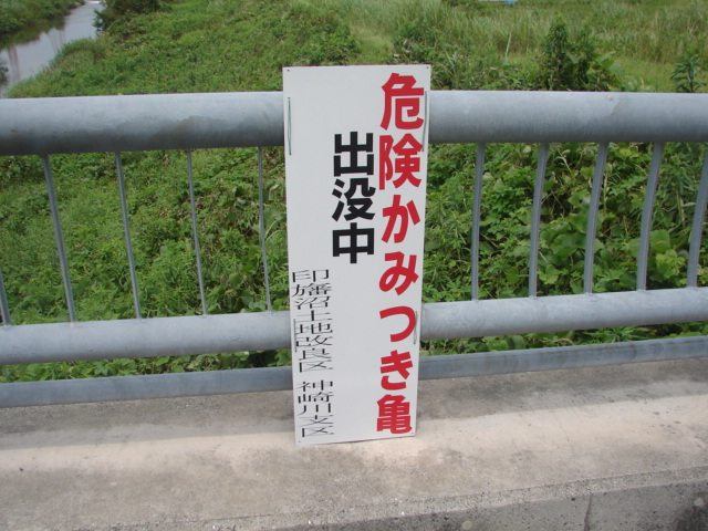 b0061261_22223455.jpg